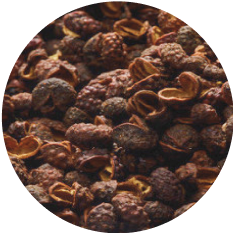 Nutrient-Packed icon