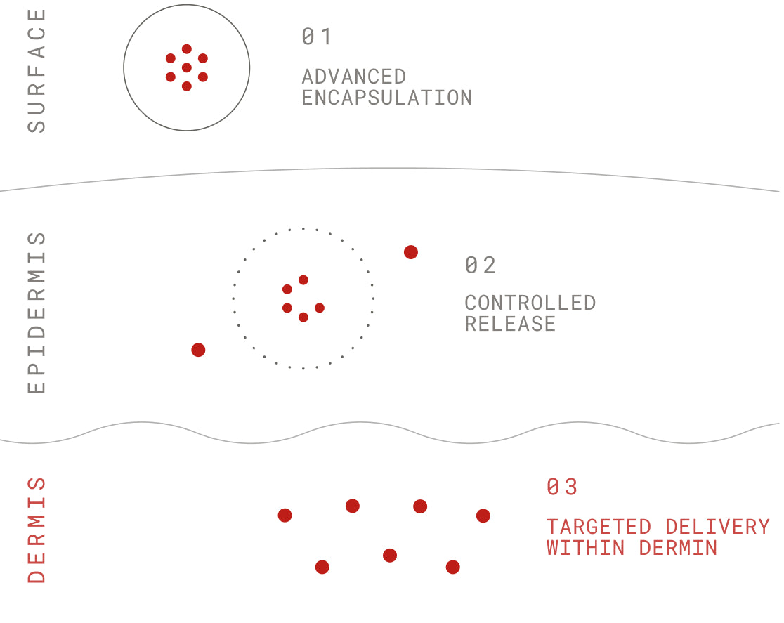 Advanced encapsulation delivery diagram