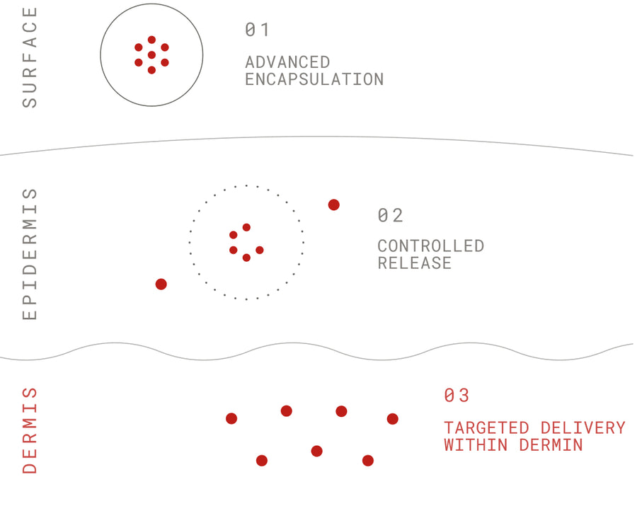 SynerGenius delivery diagram